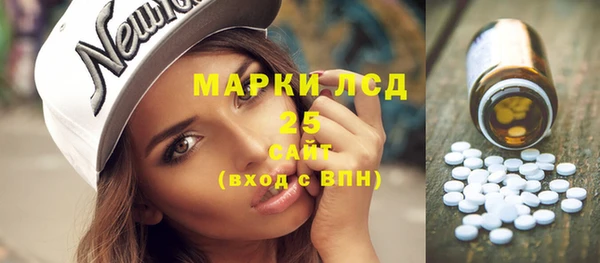 индика Покров