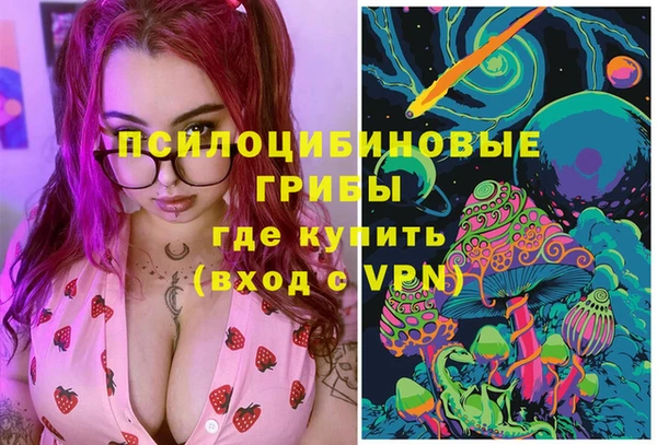 PSILOCYBIN Алексеевка