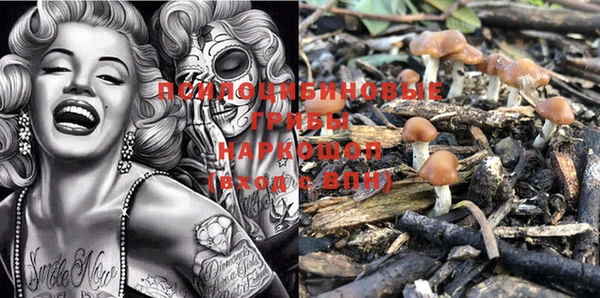 PSILOCYBIN Алексеевка