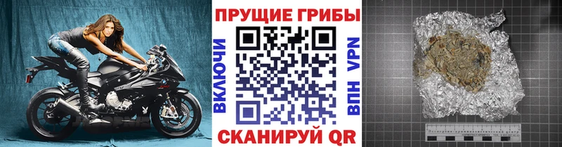купить наркотики сайты KRAKEN как войти Псилоцибиновые грибы ЛСД Томари